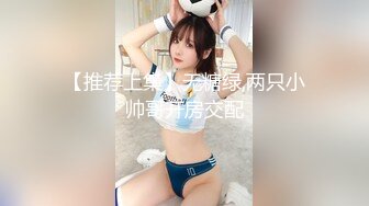 【推荐上集】无糖绿,两只小帅哥开房交配