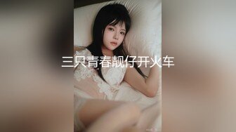 三只青春靓仔开火车