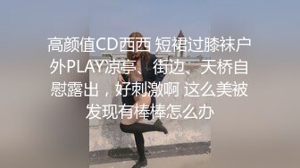 高颜值CD西西 短裙过膝袜户外PLAY凉亭、街边、天桥自慰露出，好刺激啊 这么美被发现有棒棒怎么办