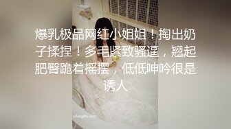 爆乳极品网红小姐姐！掏出奶子揉捏！多毛紧致骚逼，翘起肥臀跪着摇摆，低低呻吟很是诱人