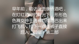 早年前，暗访金贵康桥酒吧，在灯红酒绿的舞光下，形形色色舞女伸手进裤裆掏鸡巴出来打飞机，拉下一点点裤子直接后入，碉堡！第二部