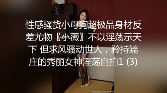 性感骚货小母狗超极品身材反差尤物〖小薇〗不以淫荡示天下 但求风骚动世人，矝持端庄的秀丽女神淫荡自拍1 (3)