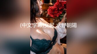 (中文字幕)女尻 水野朝陽